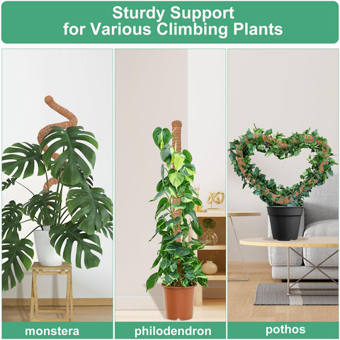 Two soft ties included protect stems while guiding growth.
