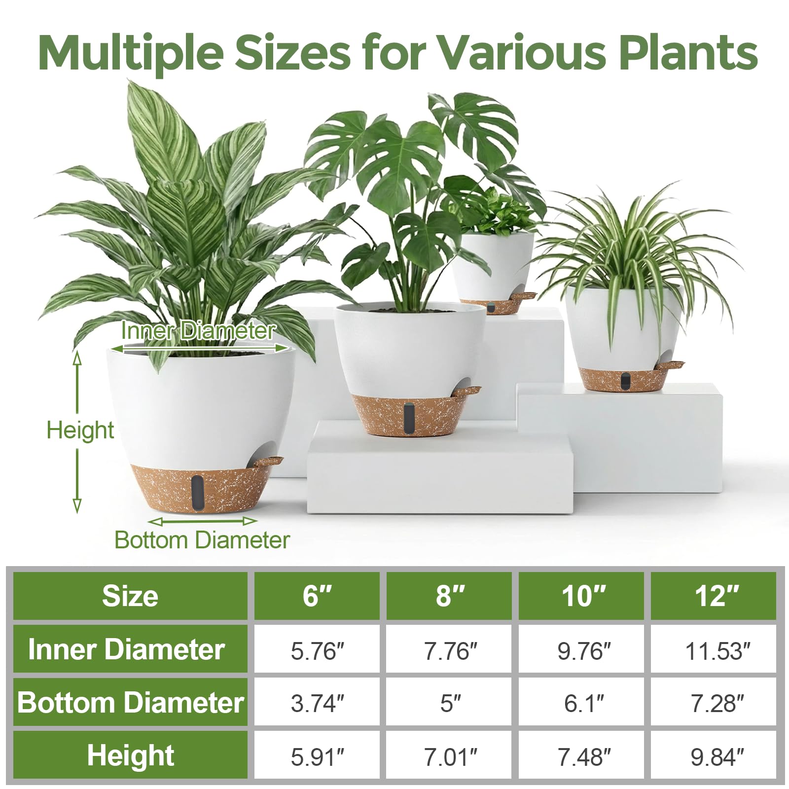 LifeNest 12-inch self-watering pot creates a statement with tall indoor plants.
