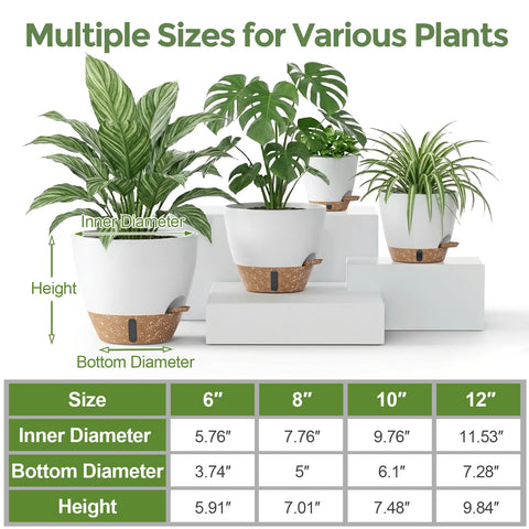 LifeNest 12-inch self-watering pot creates a statement with tall indoor plants.