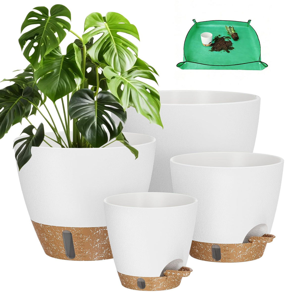 LifeNest 6-inch self-watering pot with wick promotes healthy roots and easy indoor care.