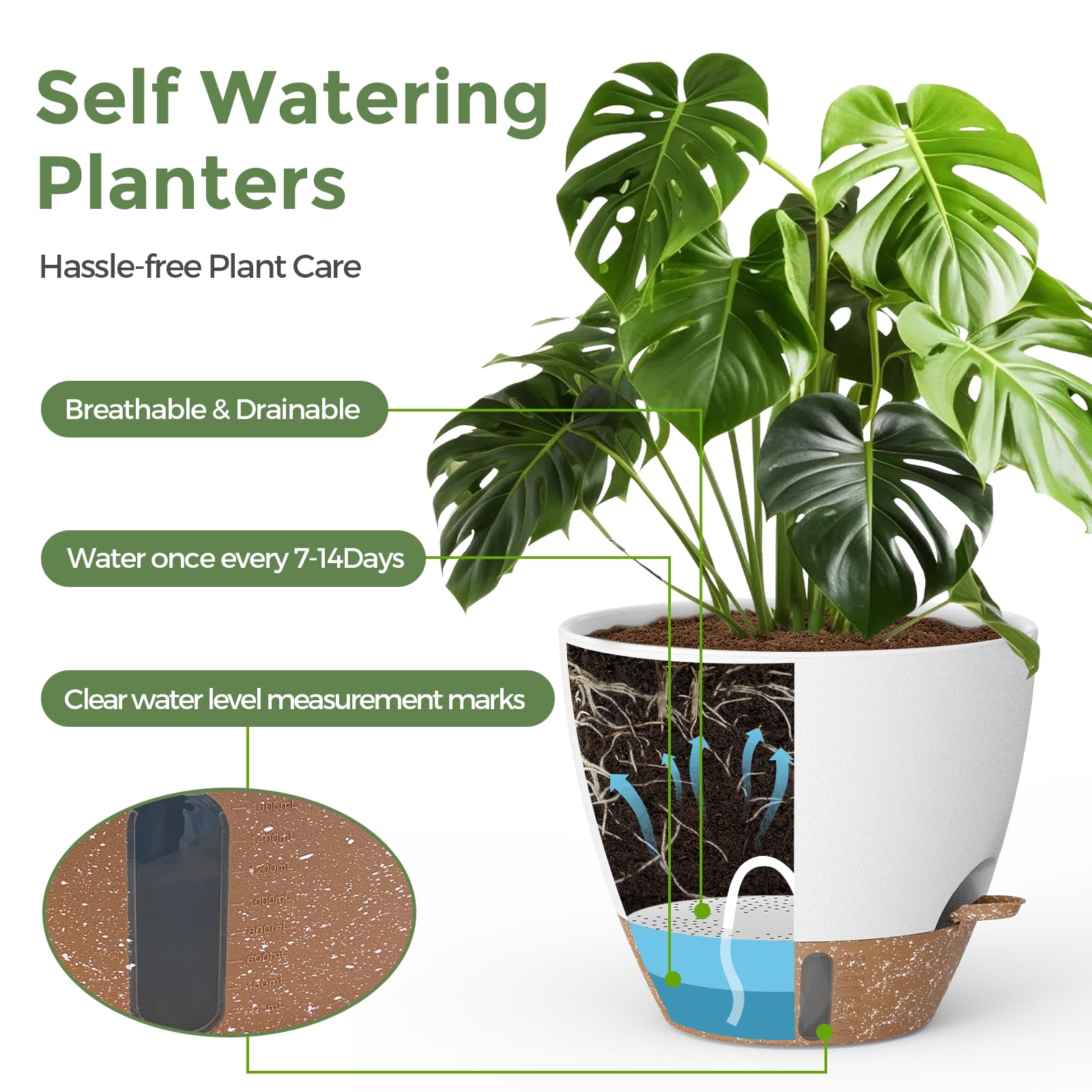 LifeNest 8-inch self-watering pot ideal for medium plants on shelves.