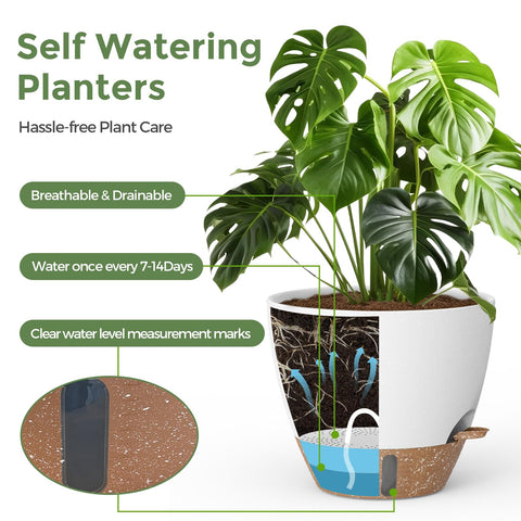 LifeNest 8-inch self-watering pot ideal for medium plants on shelves.