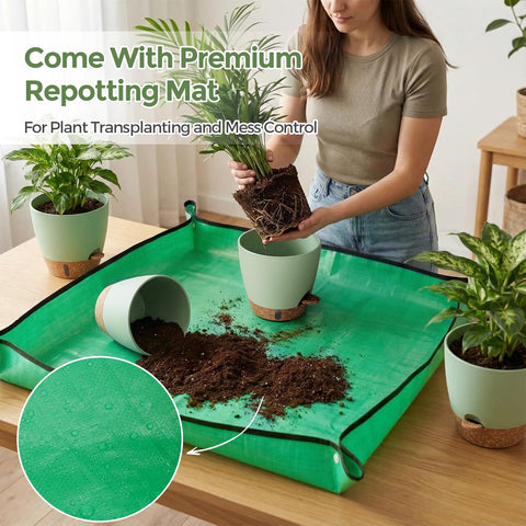 LifeNest 10-inch self-watering pot ideal for larger greenery like pothos or peace lilies