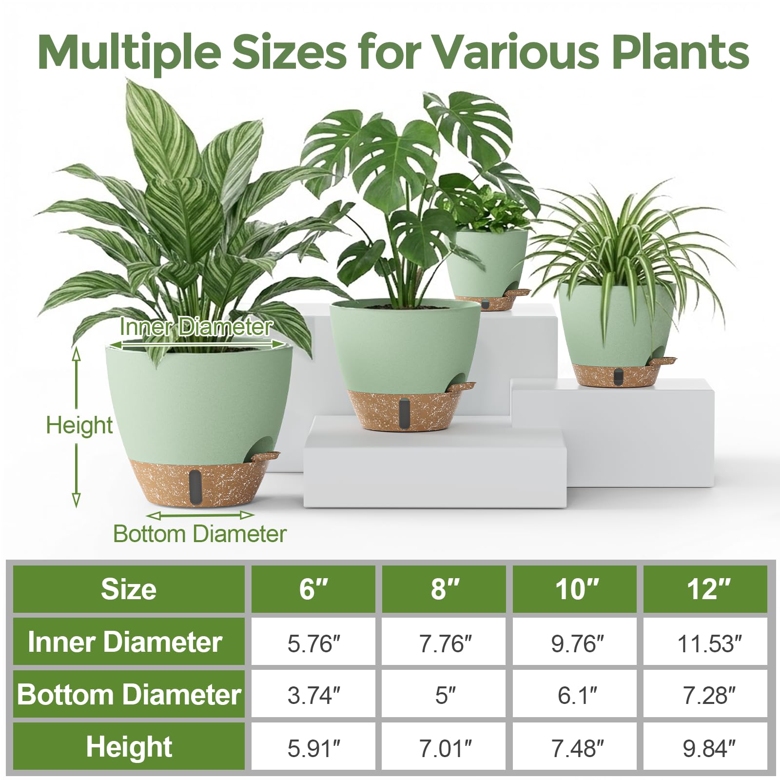 LifeNest 12-inch self-watering pot accommodates bold statement plants with steady moisture