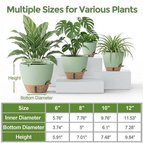 LifeNest 12-inch self-watering pot accommodates bold statement plants with steady moisture