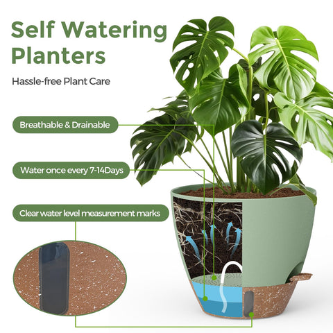 LifeNest 8-inch self-watering pot keeps mid-size plants hydrated with minimal care
