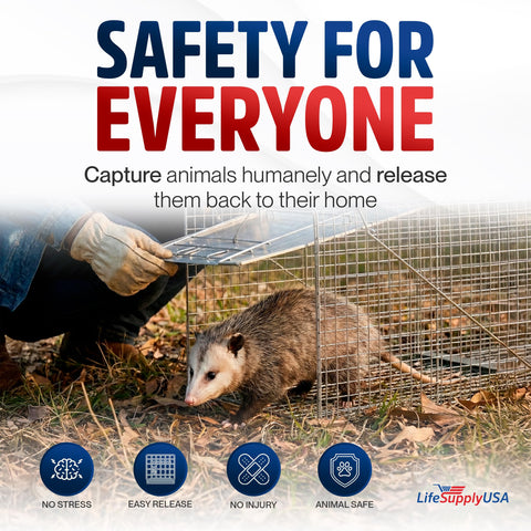 LifeSupplyUSA bait-ready trap simplifies setup with one-handed operation.