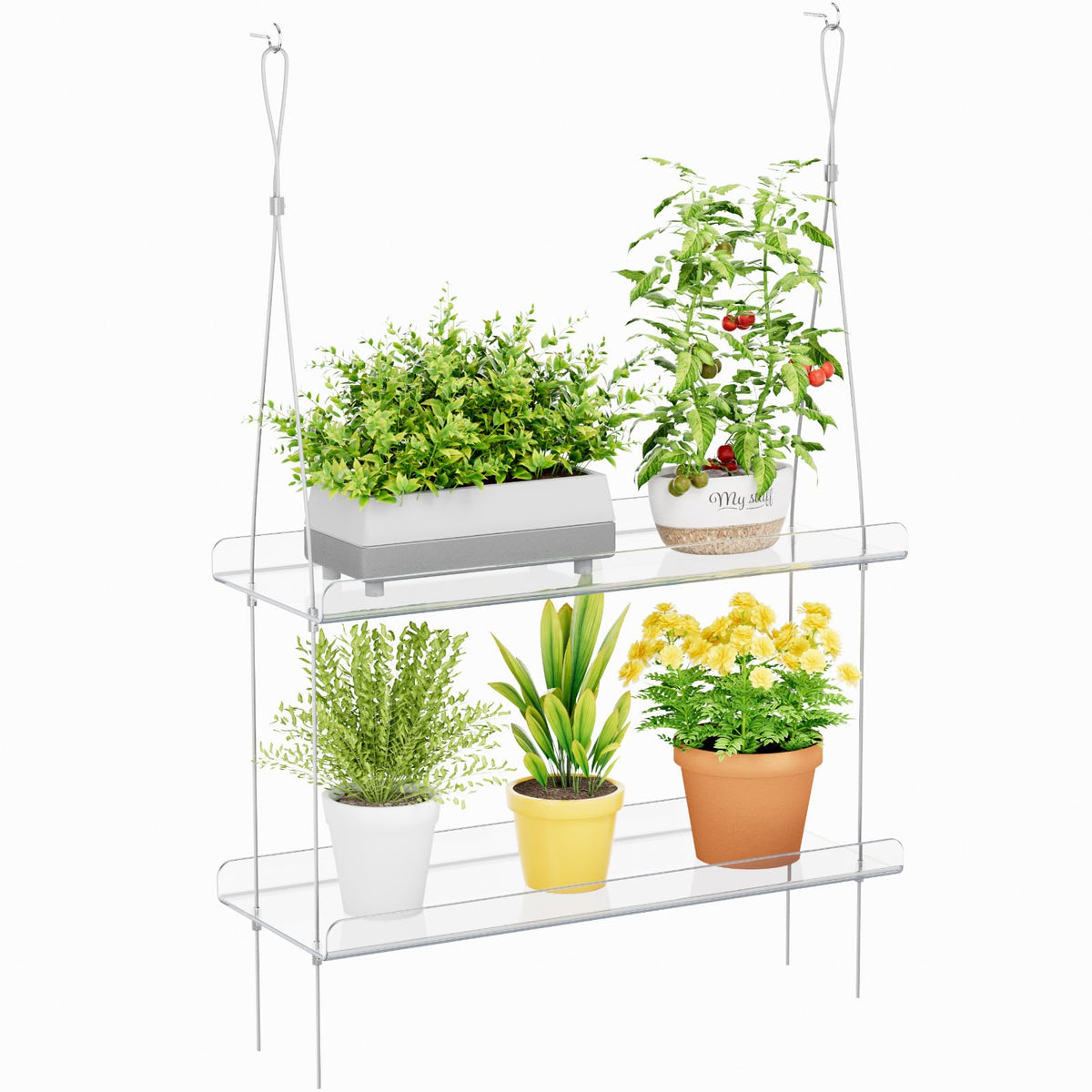 Lifewit 2-tier window plant shelf in clear acrylic displaying small pots under sunlight