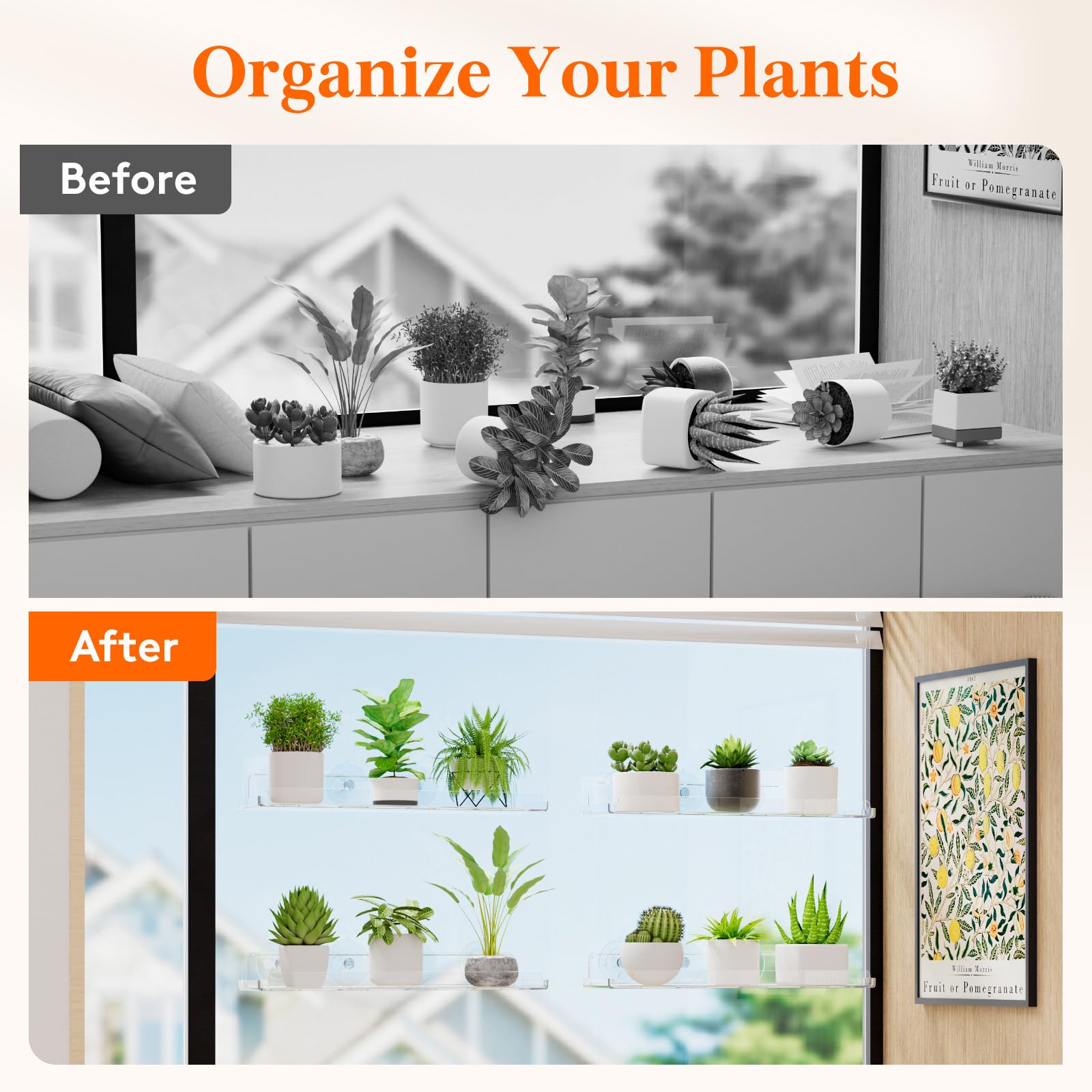 Lifewit four-pack shelves arranged on a window for a compact garden.