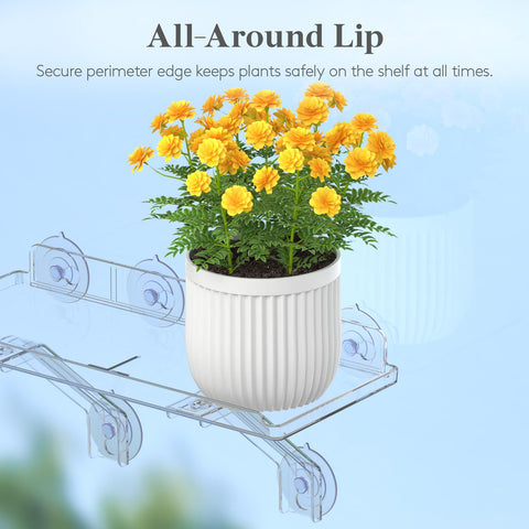 Lifewit succulent pot organization fits multiple small planters.