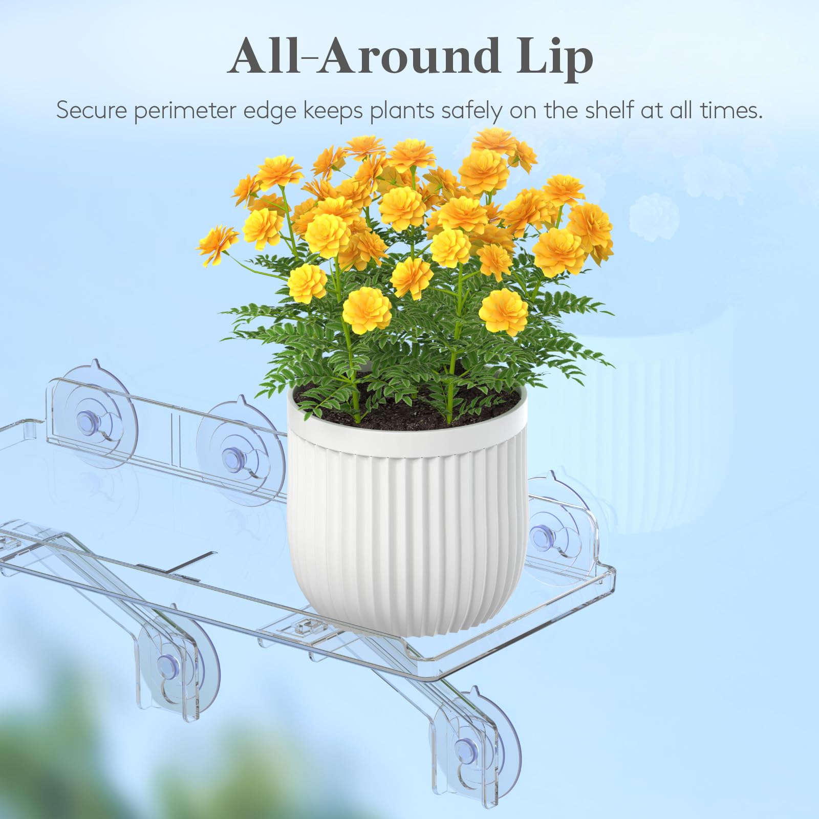 Lifewit-window-shelf-in-use shows versatile placement in kitchen or bathroom.