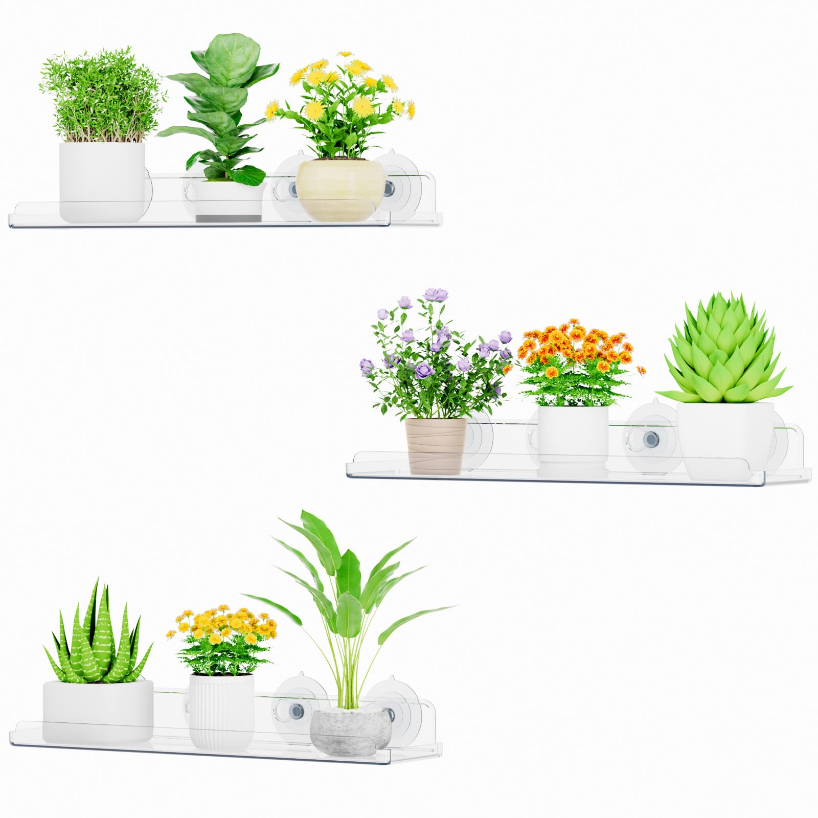 Lifewit window shelf plant display with clear acrylic for sunlit greenery