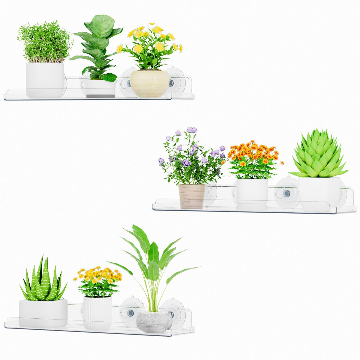 Lifewit window shelf plant display with clear acrylic for sunlit greenery