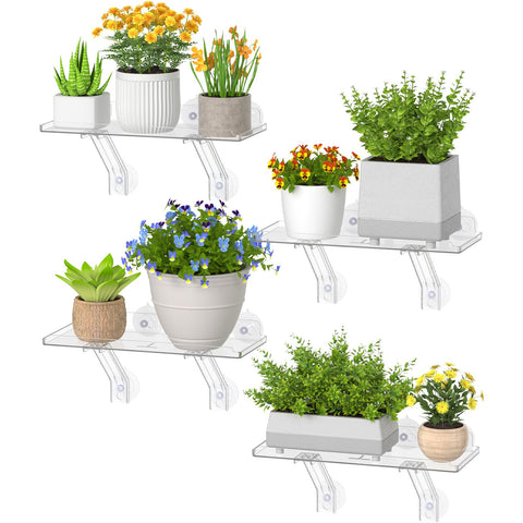 Lifewit window shelf setup on glass enables sunlit plant display.