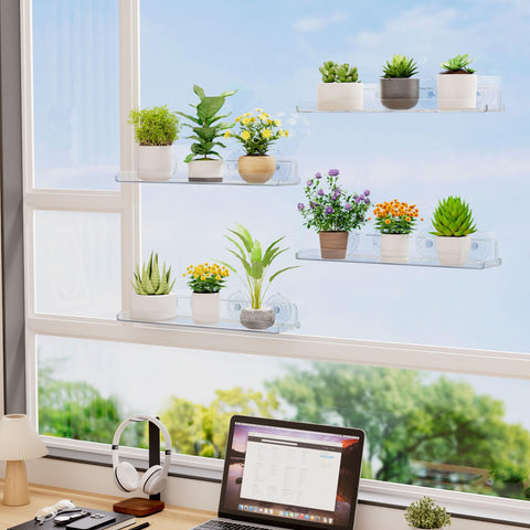 Lifewit suction cups secure plants on a window shelf
