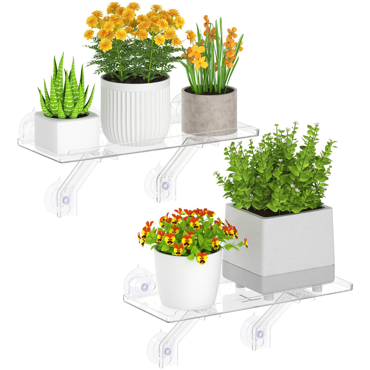 Lifewit window-shelf-wide-6-inch provides a spacious surface for multiple plants.