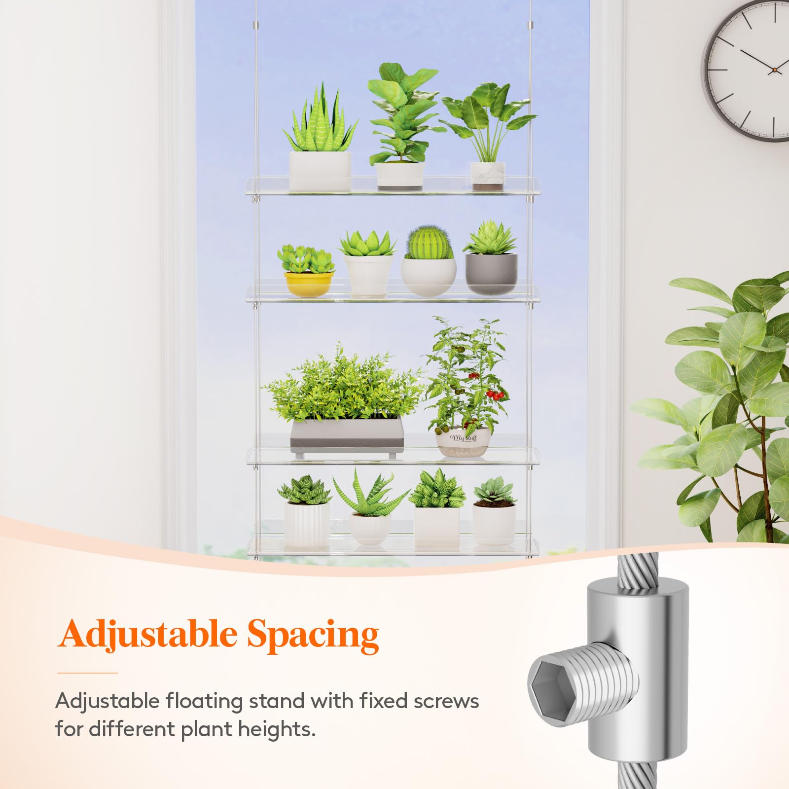 Lifewit window sill extender neatly holds herbs and succulents.
