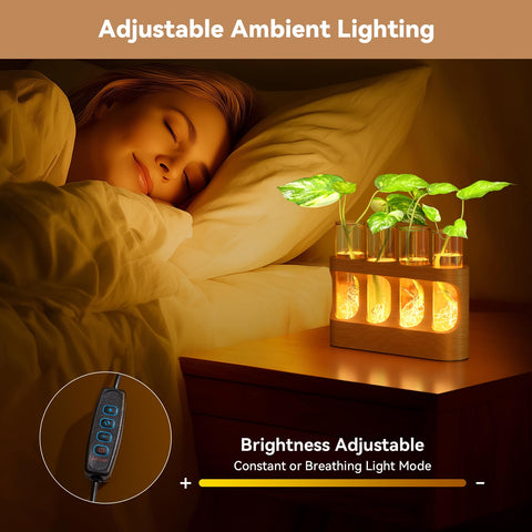 Lightalent gift-ready packaging makes a thoughtful present for plant lovers.