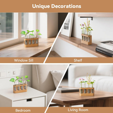 Lightalent hydroponic display setup keeps vessels accessible on a desktop surface.