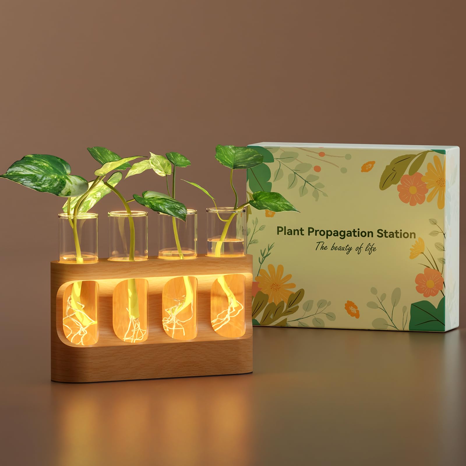 Lightalent propagation station with wooden stand for desk propagation and stylish home decor.