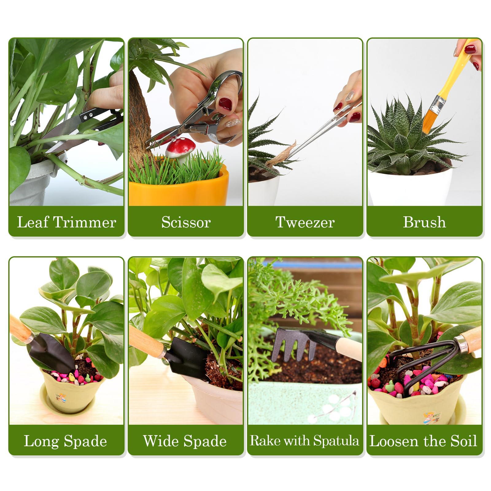 LIHAO bonsai starter tools, ideal for first bonsai projects