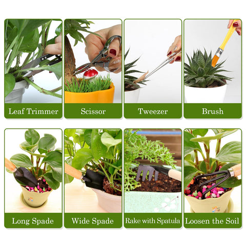 LIHAO bonsai starter tools, ideal for first bonsai projects