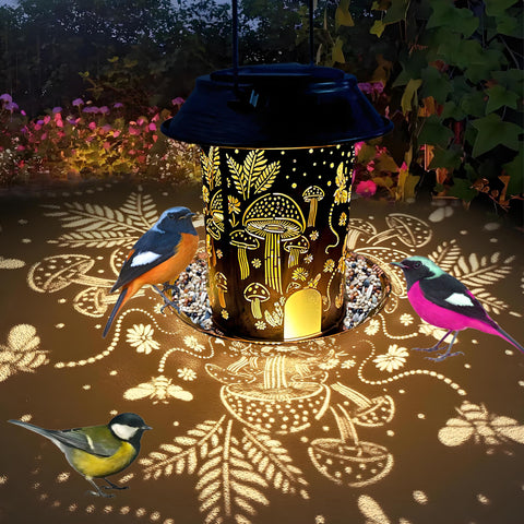 LIJIAHANG solar bird feeder with day-night function attracts yard birds