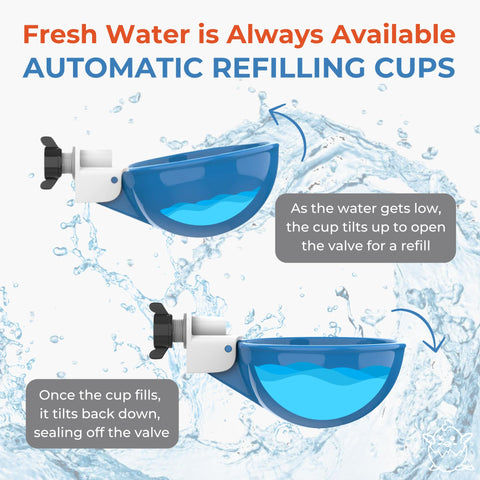 Lil'Clucker blue large waterer cups offering ducks easy water access for a comfortable dip.
