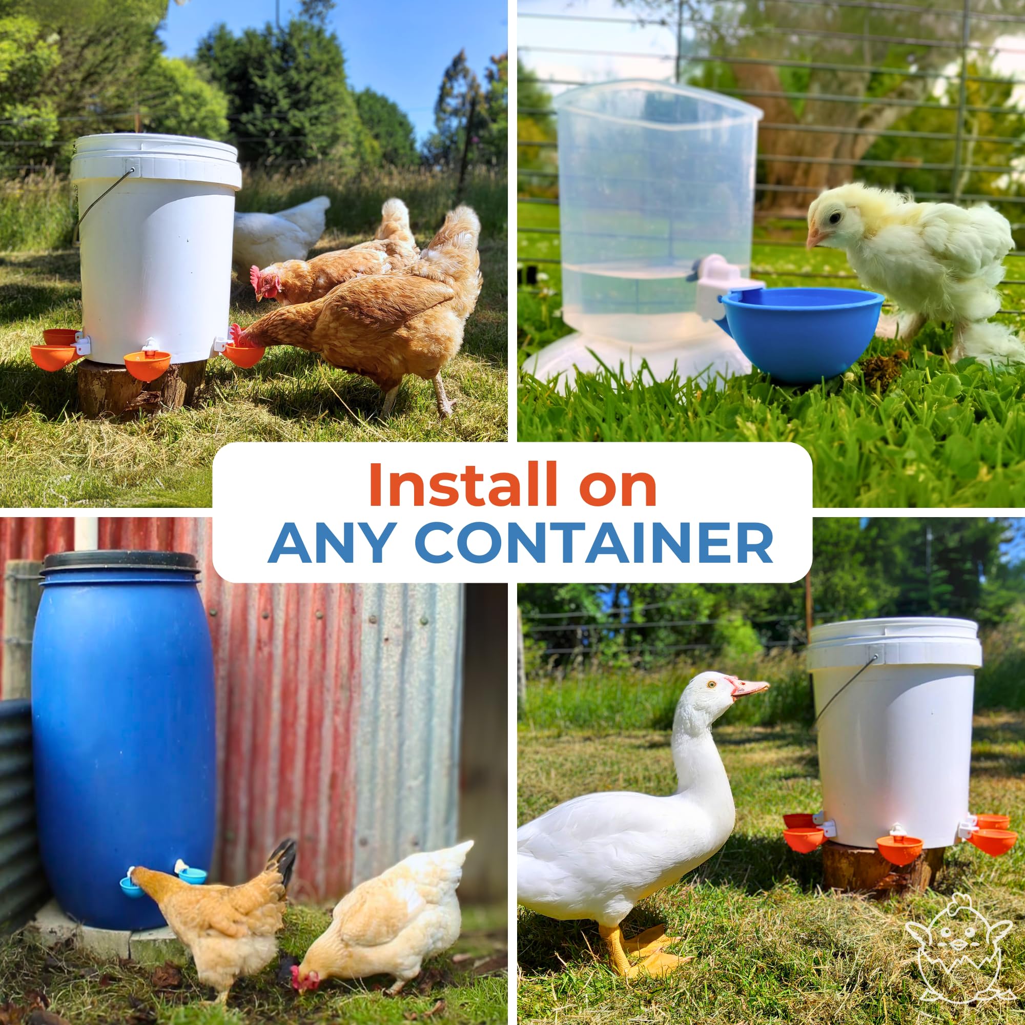 Lil'Clucker blue waterer cups simplifying coop water management for busy farms.