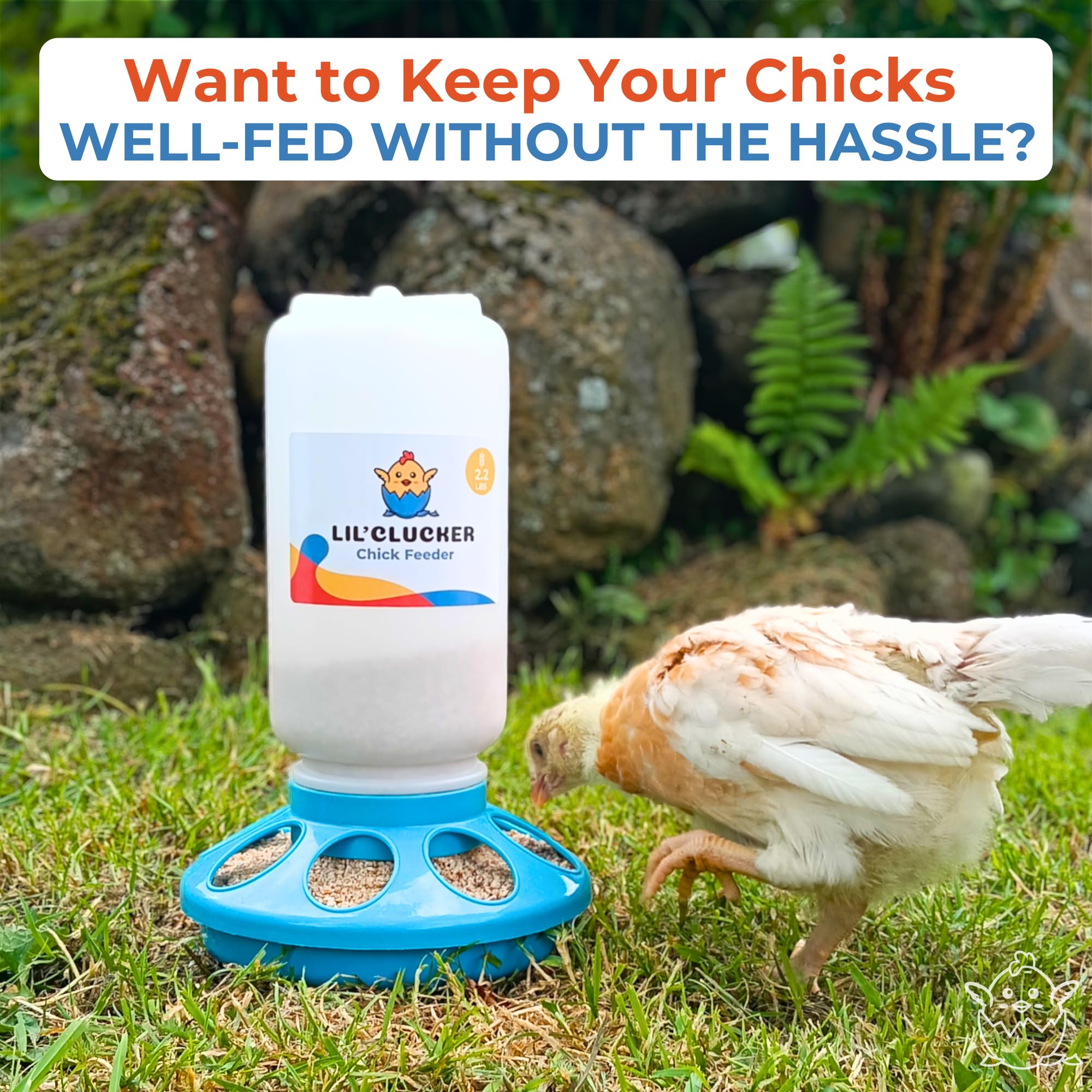 Lil'Clucker adjustable legs adapt as chicks grow for stable feeding.