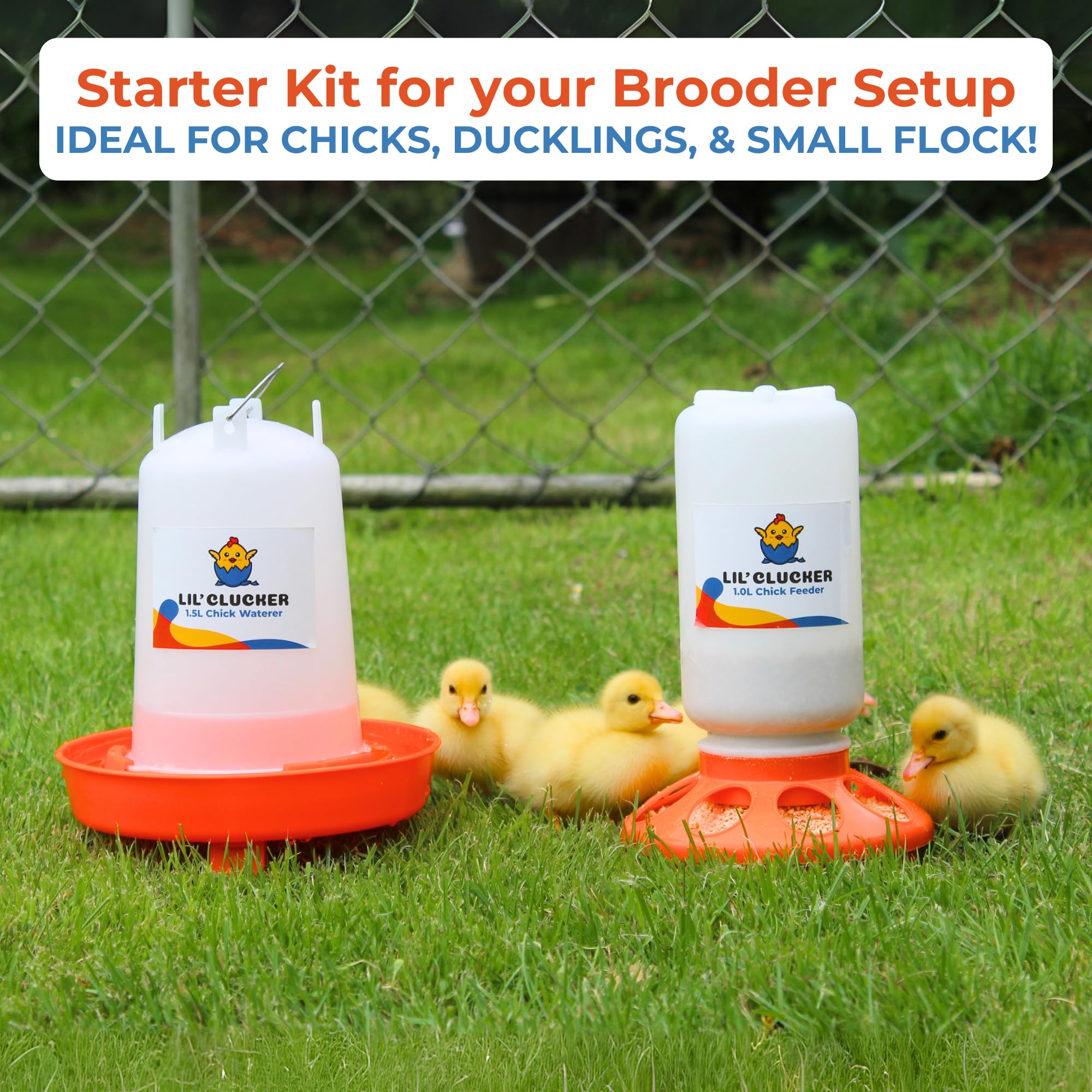 Lil'Clucker anti-drown moat helps prevent accidental drowning for chicks.