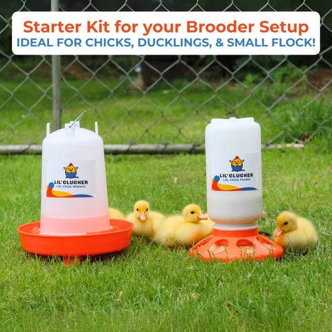 Lil'Clucker anti-drown moat helps prevent accidental drowning for chicks.