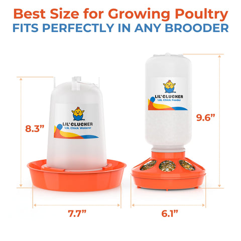 Lil'Clucker anti-tip base stabilizes the feeder during active chick days.