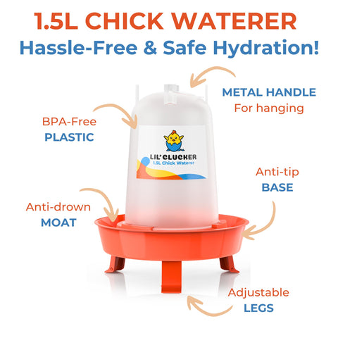 Lil'Clucker BPA-free durable plastic for long-lasting poultry use.