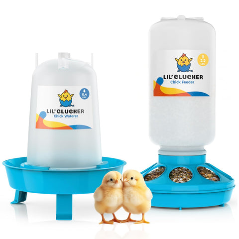 Lil'Clucker chick feeder 1L reduces waste and spills in the brooder.