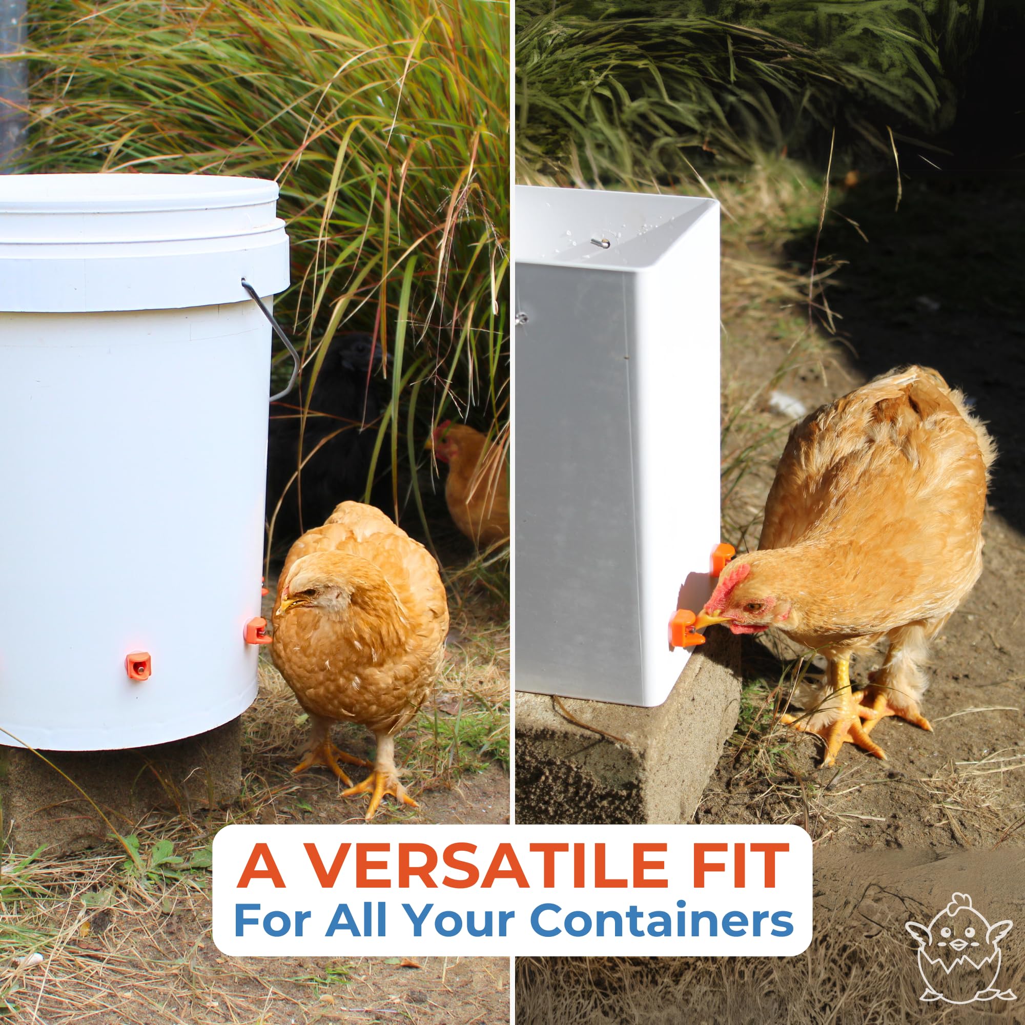 Lil'Clucker keeps water clean and reduces mess in runs