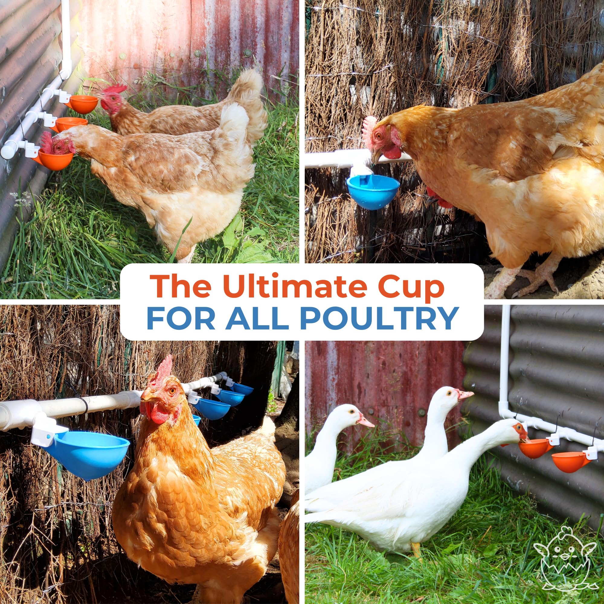 Lil'Clucker cups showing compatibility with ducks and turkeys