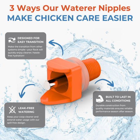 Lil'Clucker easy-install nipples simplify coop setup and steady water supply
