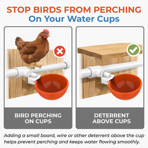 Lil'Clucker heavy-duty construction on poultry waterer cups