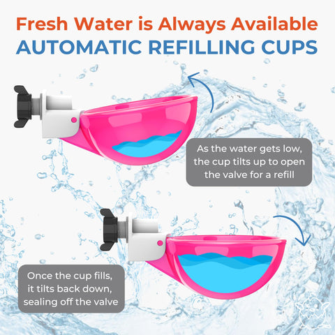 Lil'Clucker pink 5-pack water cups simplify coop hydration for busy farmers