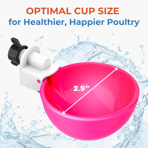 Lil'Clucker automatic cups are a trusted upgrade for flock hydration
