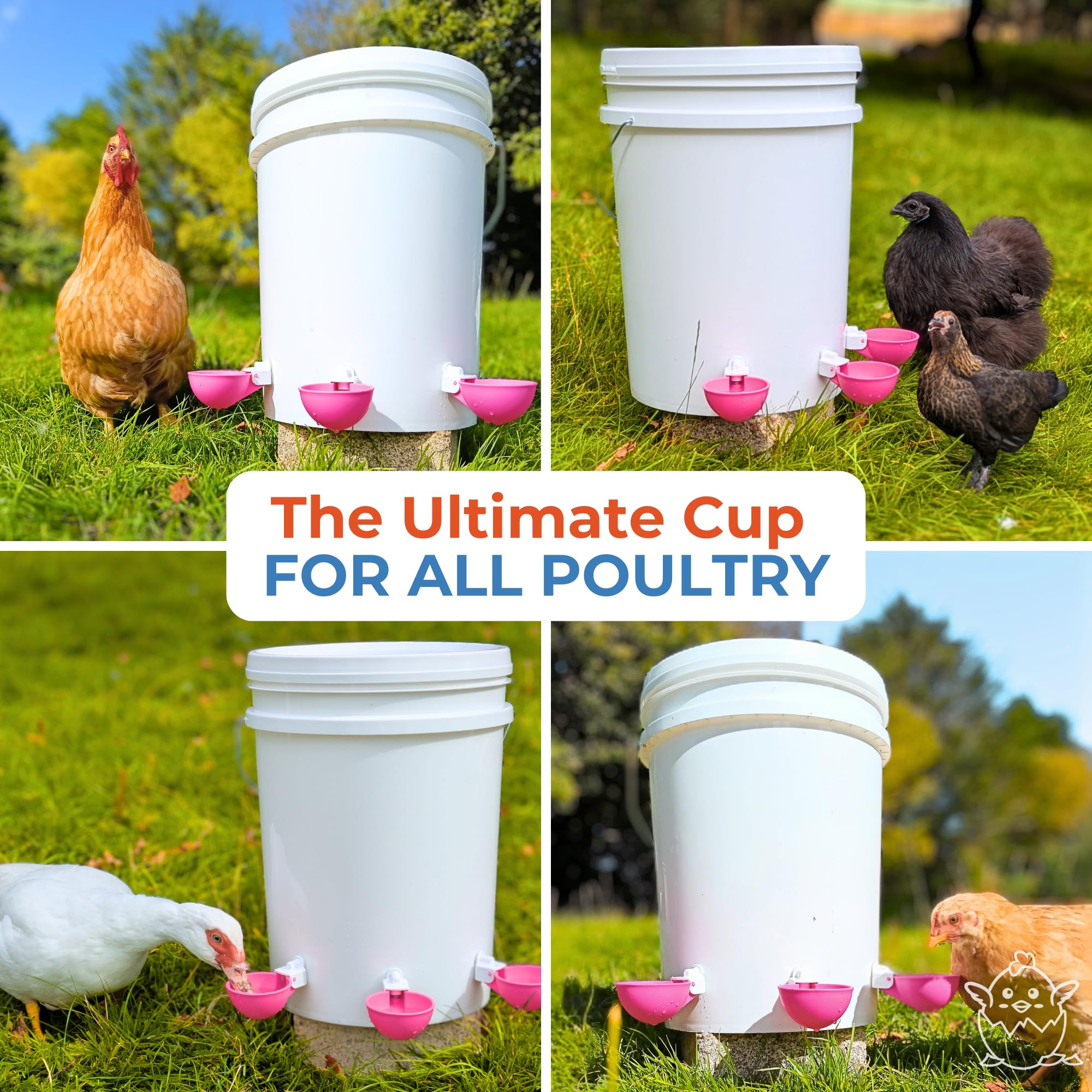 Lil'Clucker poultry waterer cups are designed to be easy to clean and maintain