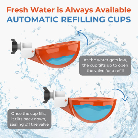 Lil'Clucker cups dispensing action shown for easy setup in coops