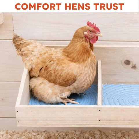 Lil'Clucker nest pad trimmed to fit a smaller nesting box