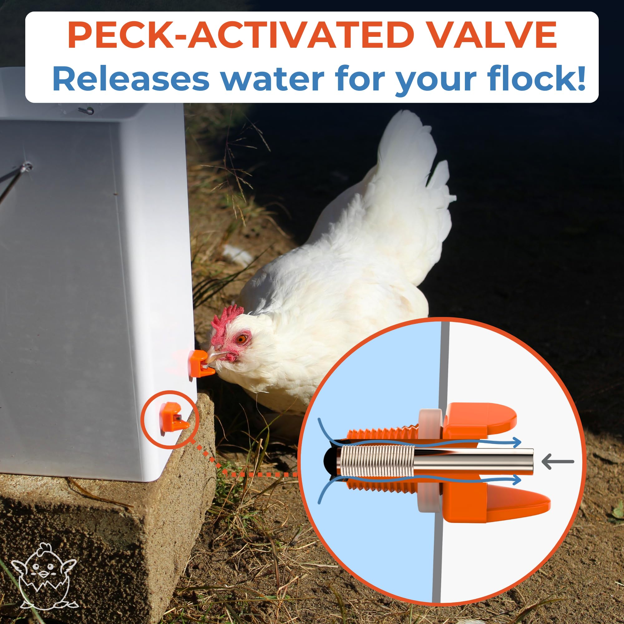 Lil'Clucker no-leak design prevents spills in the chicken coop