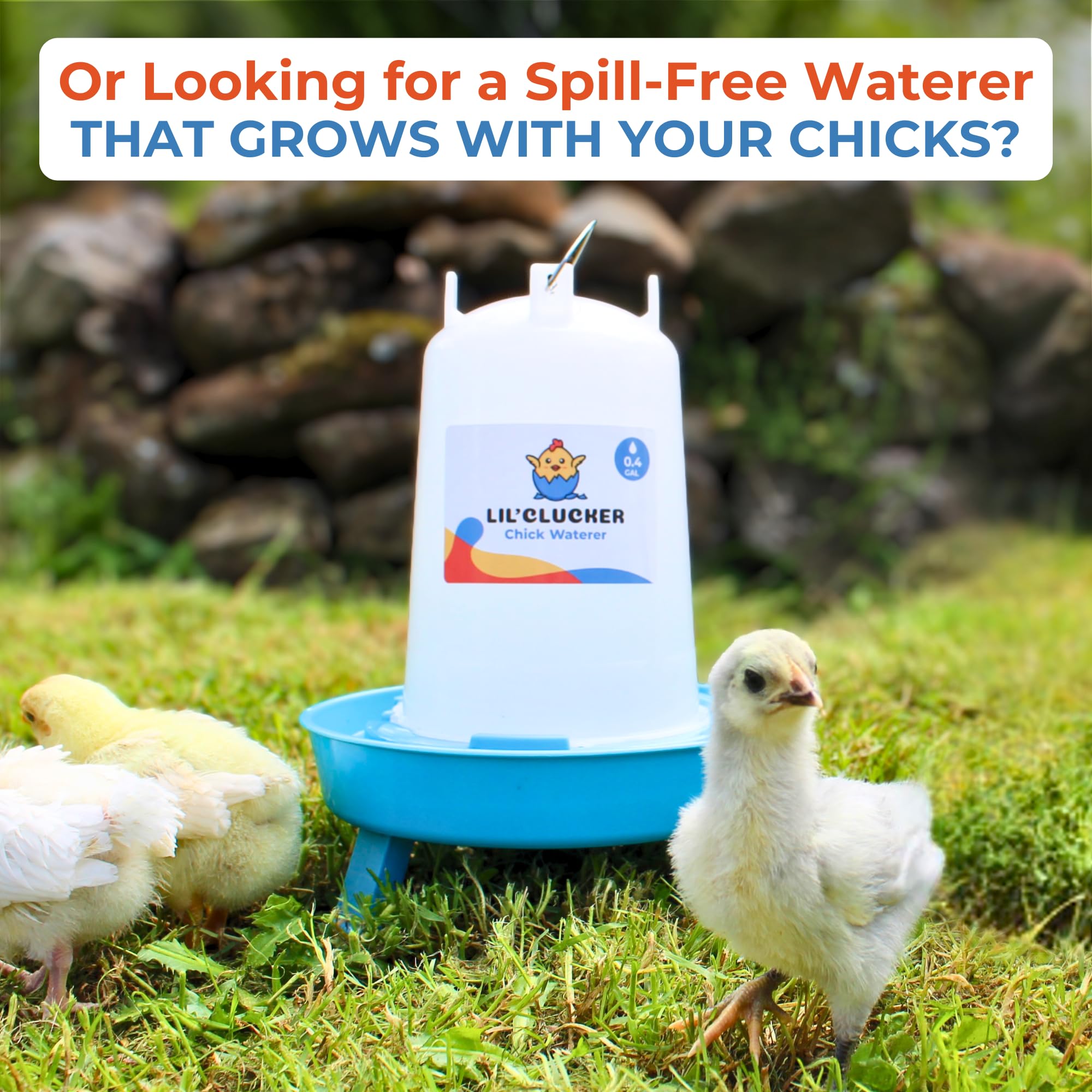 Lil'Clucker no-waste holes minimize scratching and feed waste.