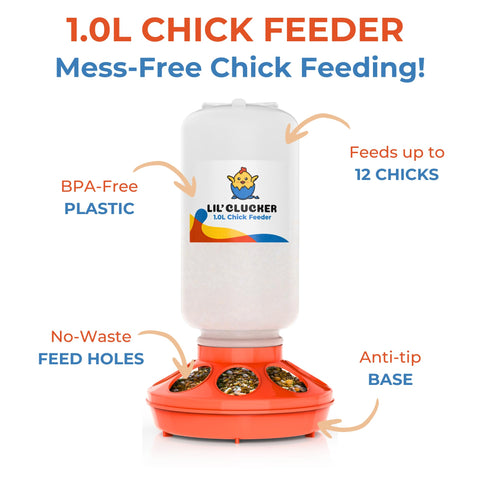 Lil'Clucker no-waste holes reduce feed spills and messy bedding.