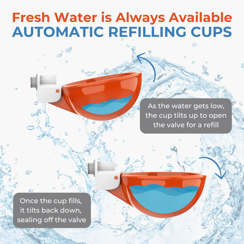 Lil'Clucker waterer cups in use with chickens demonstrating reliable flock hydration