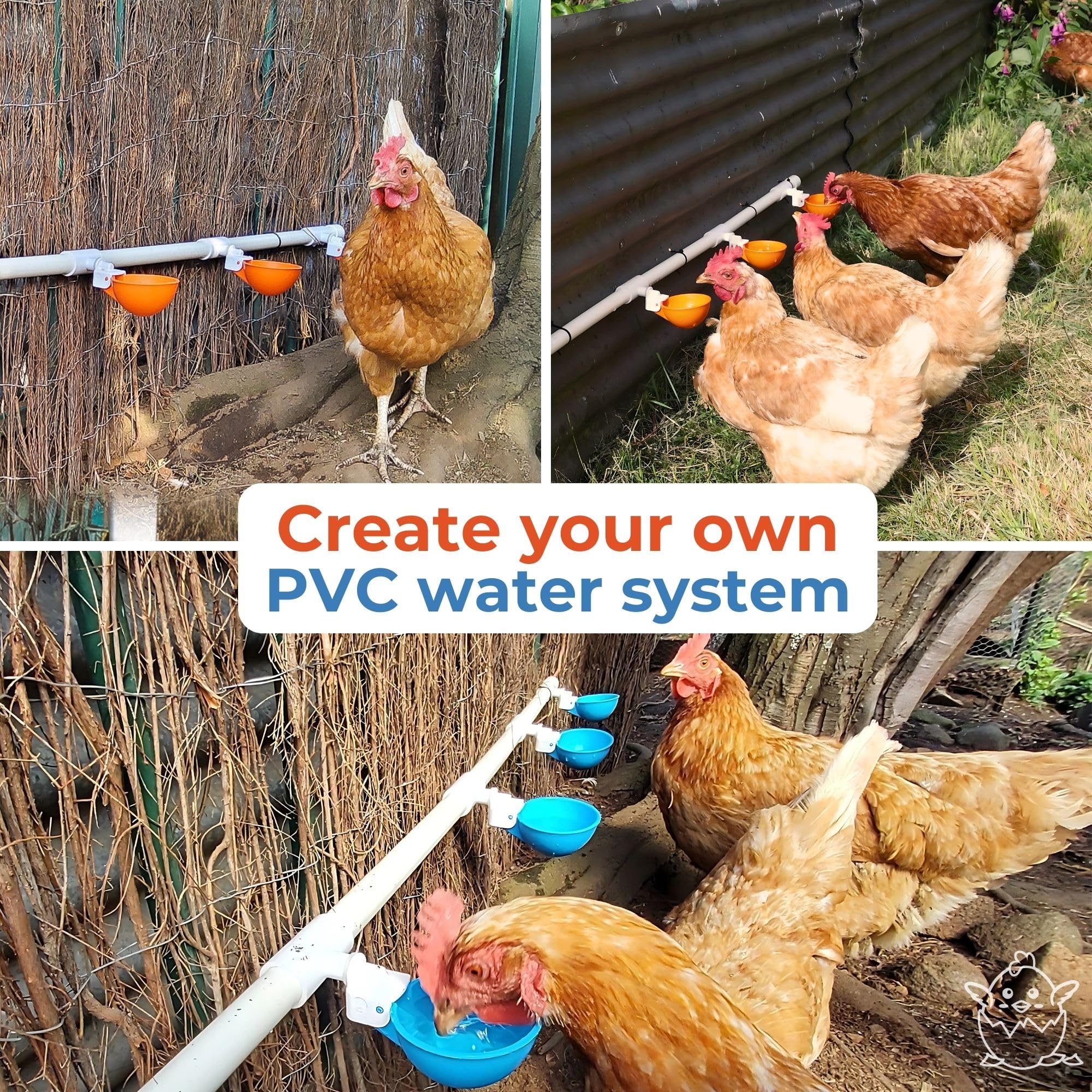 Lil'Clucker orange waterer kit packaging on the box