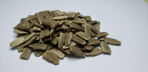 Liliana's Garden dried interior gourds ready for use in crafts.